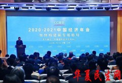         金天国际出席2020-2021中国经济年会，为构建新发展格局开放新支点